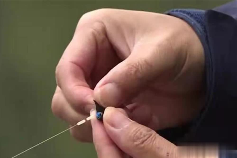 阳春的天气 阳春的天气