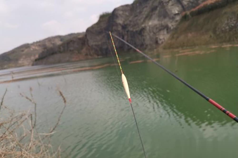 这个跟养殖, 的子线钓, 全躺底了 这个跟养殖, 的子线钓, 全躺底了